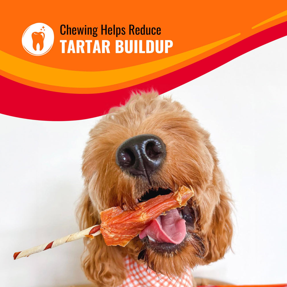 Good 'n' Fun perro masticando twist para limpieza dental superficial