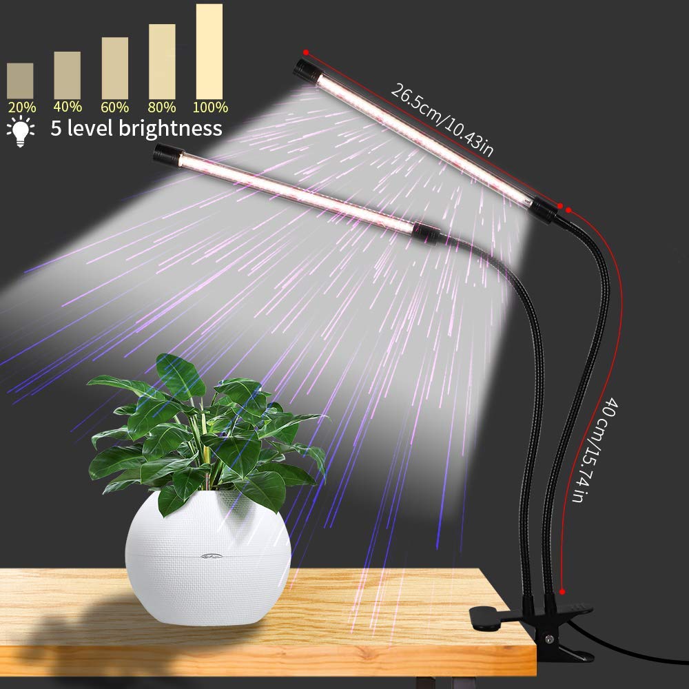 GooingTop primer plano de LEDs blancos y rojos mostrando espectro