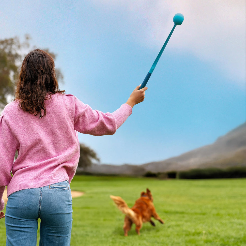 GoSports comparativa tamaño con mano humana para escala y control