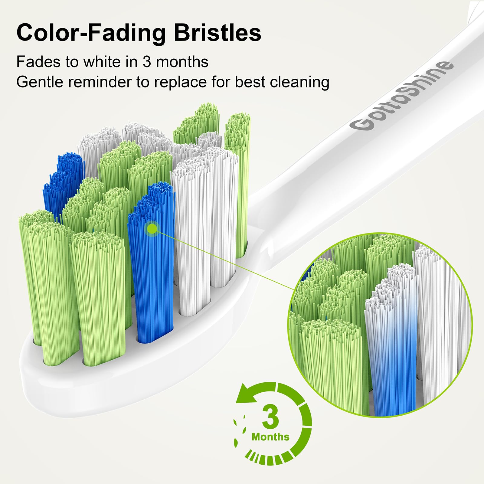 GottaShine cabezal con tapa protectora para almacenamiento higiénico