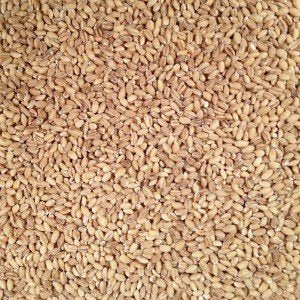 Grain Place Foods comparación de porción en taza enfatizando rendimiento y cantidad