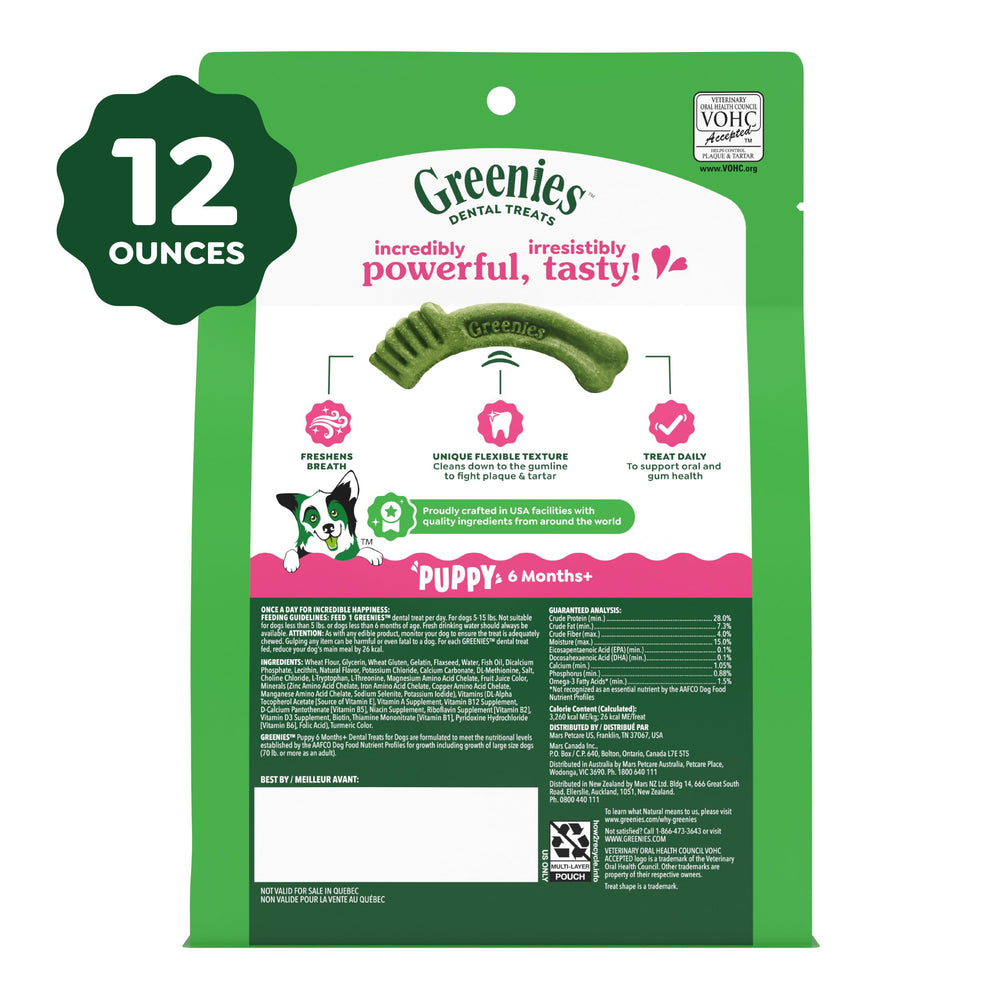 Escena doméstica con cachorro disfrutando Greenies, rutina dental sencilla