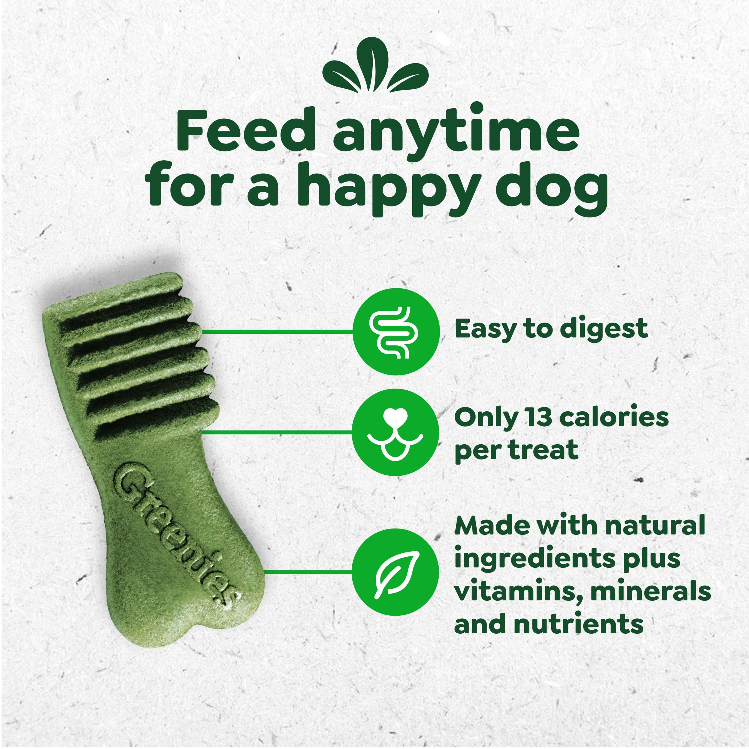 Greenies textura masticable en primer plano para atractivo canino