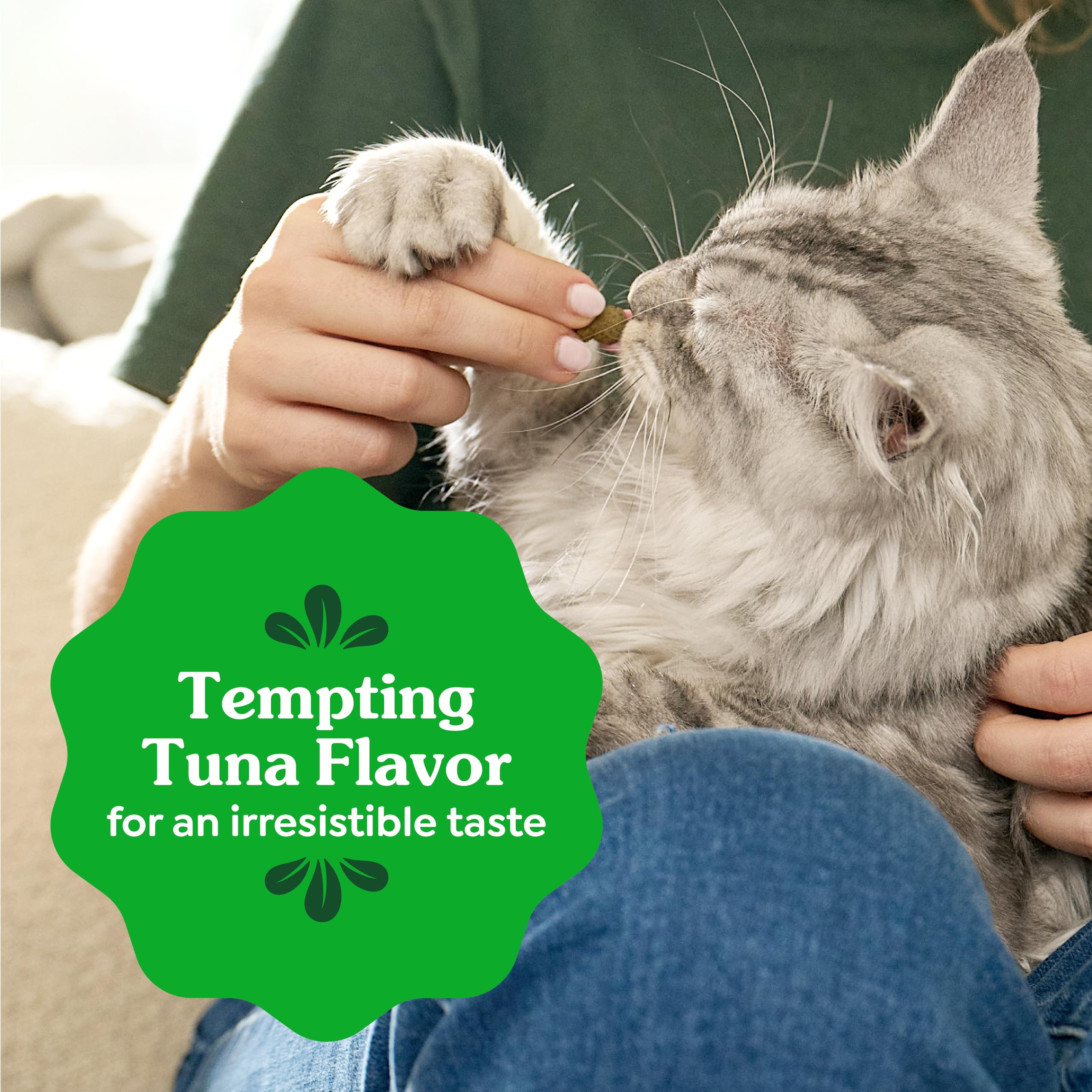 Opened Greenies bag with treats visible to show freshness and resealable convenience