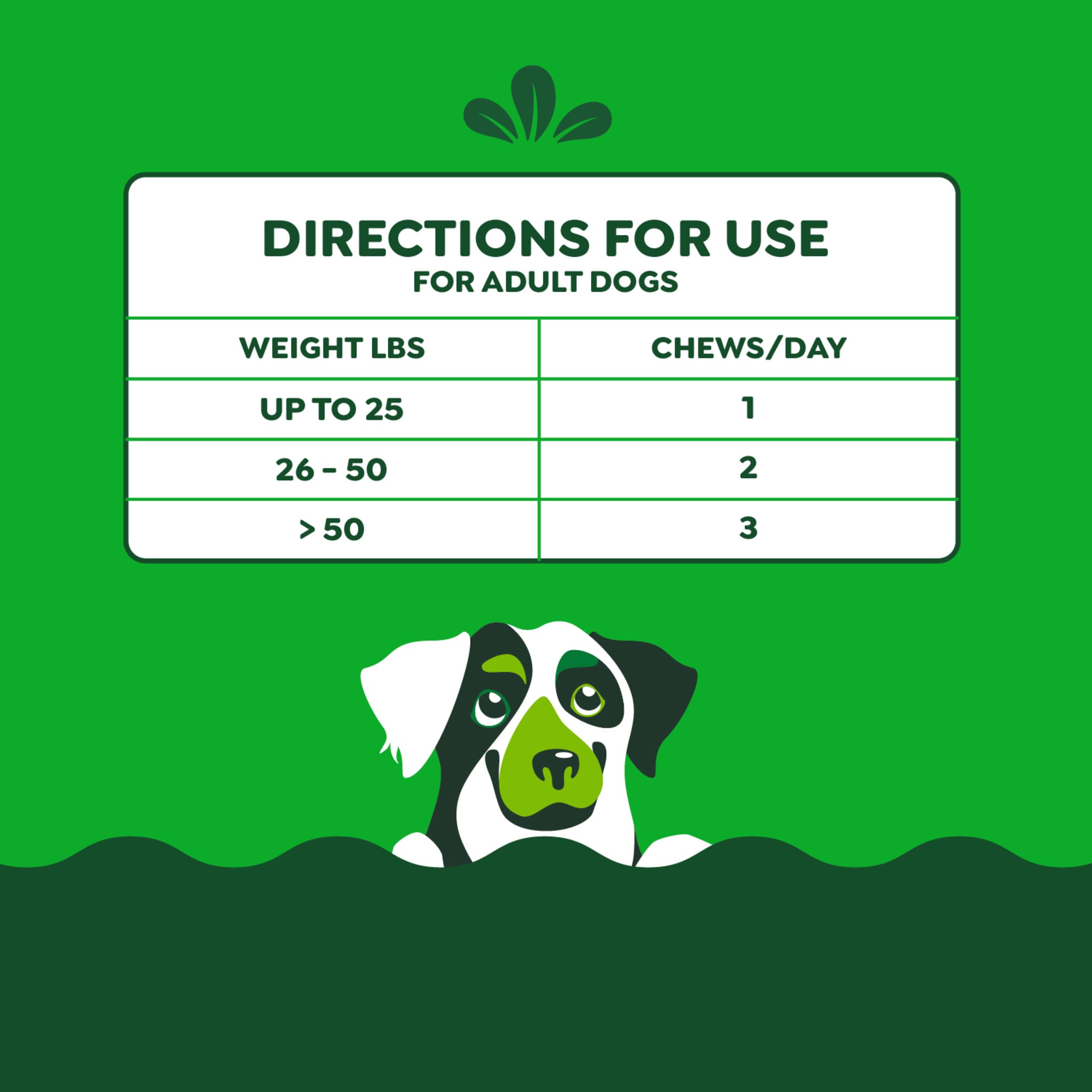 Perro tomando una chuchería Greenies calm chews, aceptación inmediata
