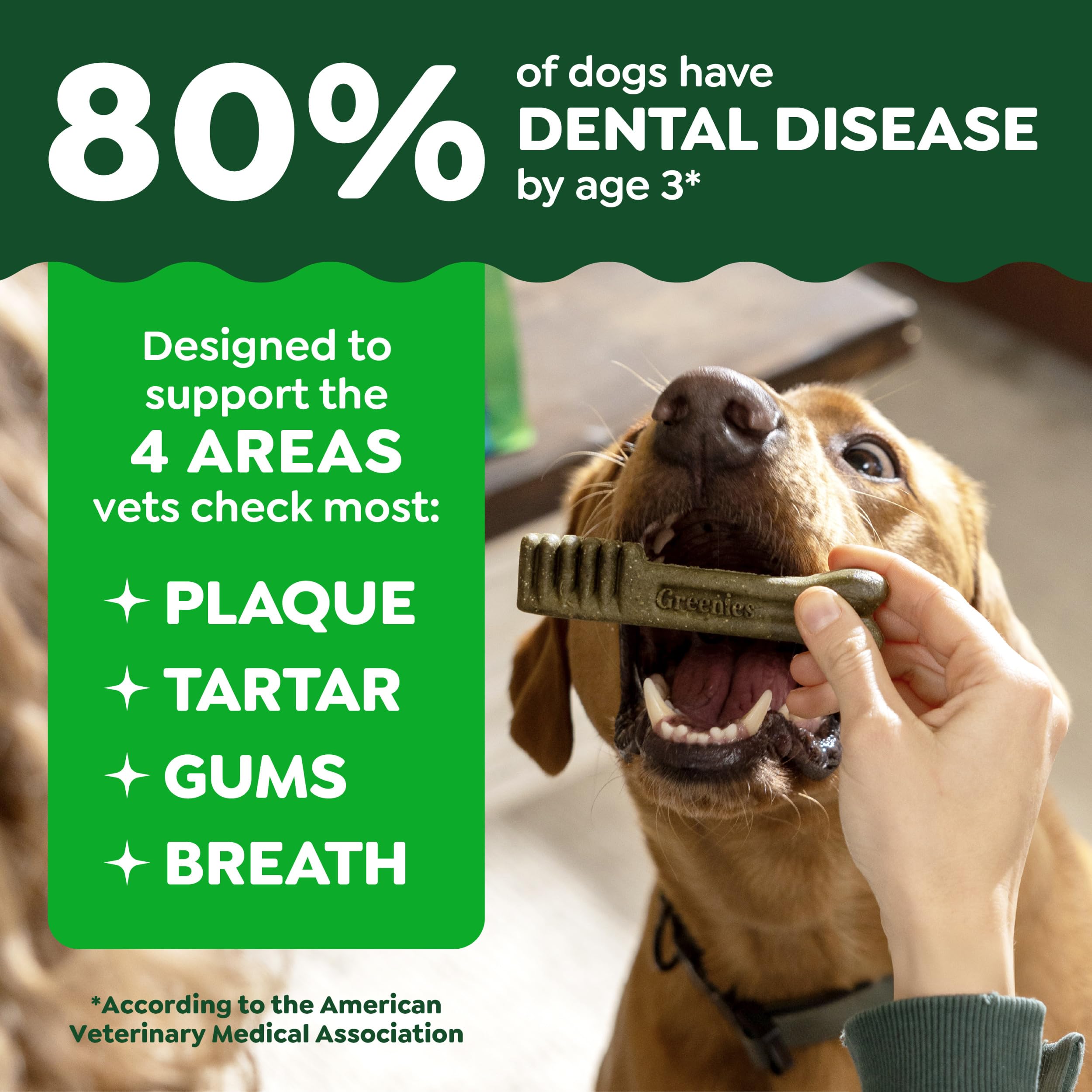Perro masticando Greenies Large demostrando aceptación y soporte de higiene oral