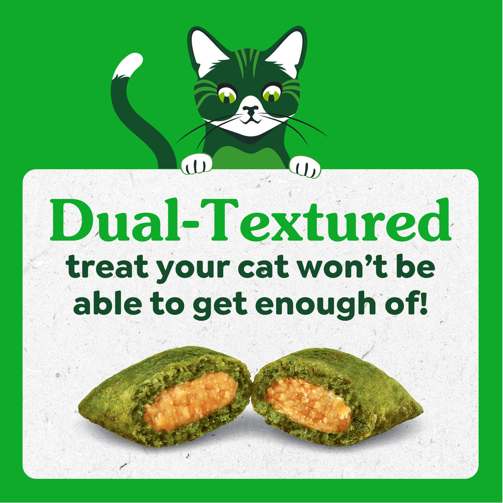 Greenies en platito mostrando porción controlada y atractivo para el gatito