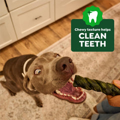 Greenies perro masticando Occupy Twists que promueve calma