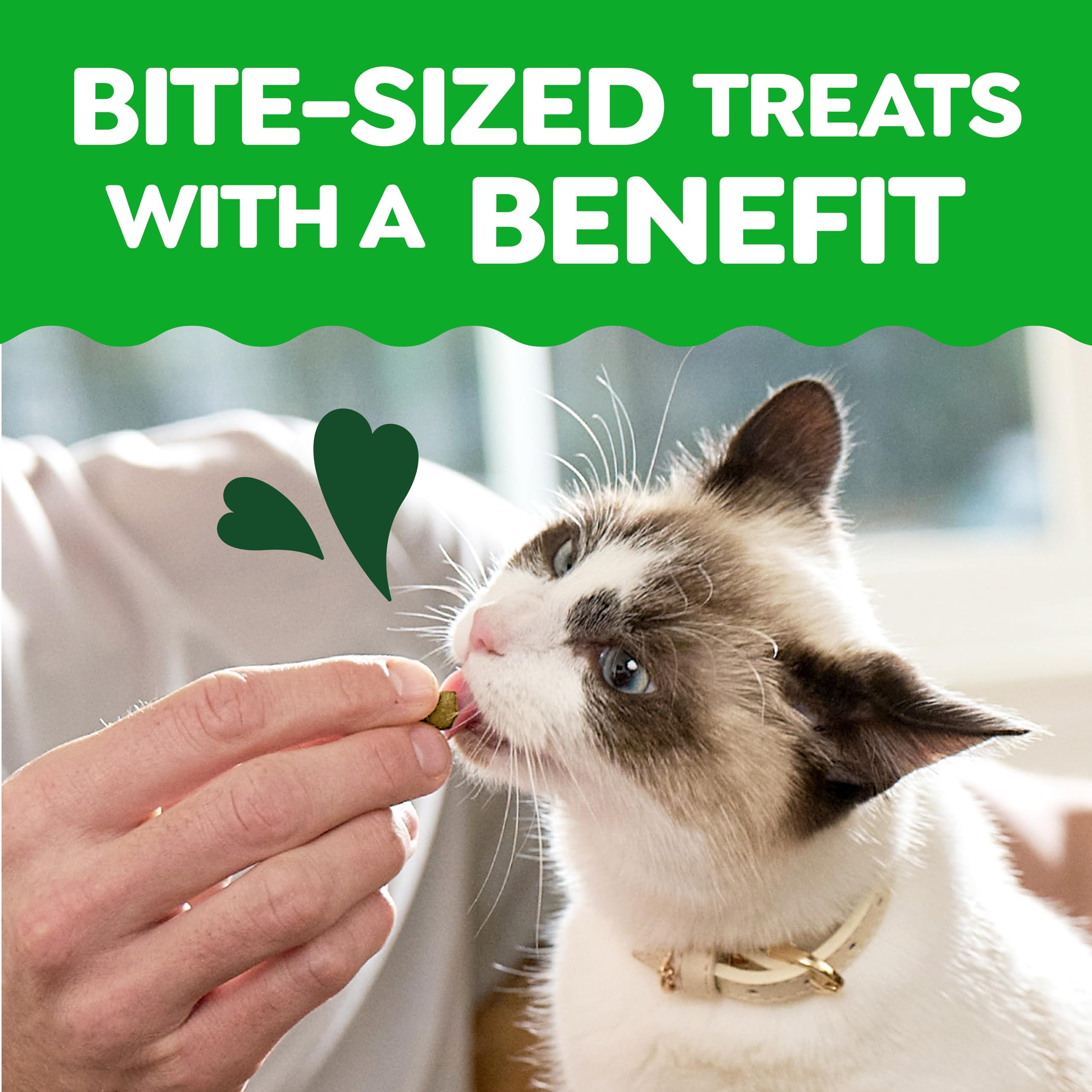 Greenies gato usando dispensador de premios para estimulación mental