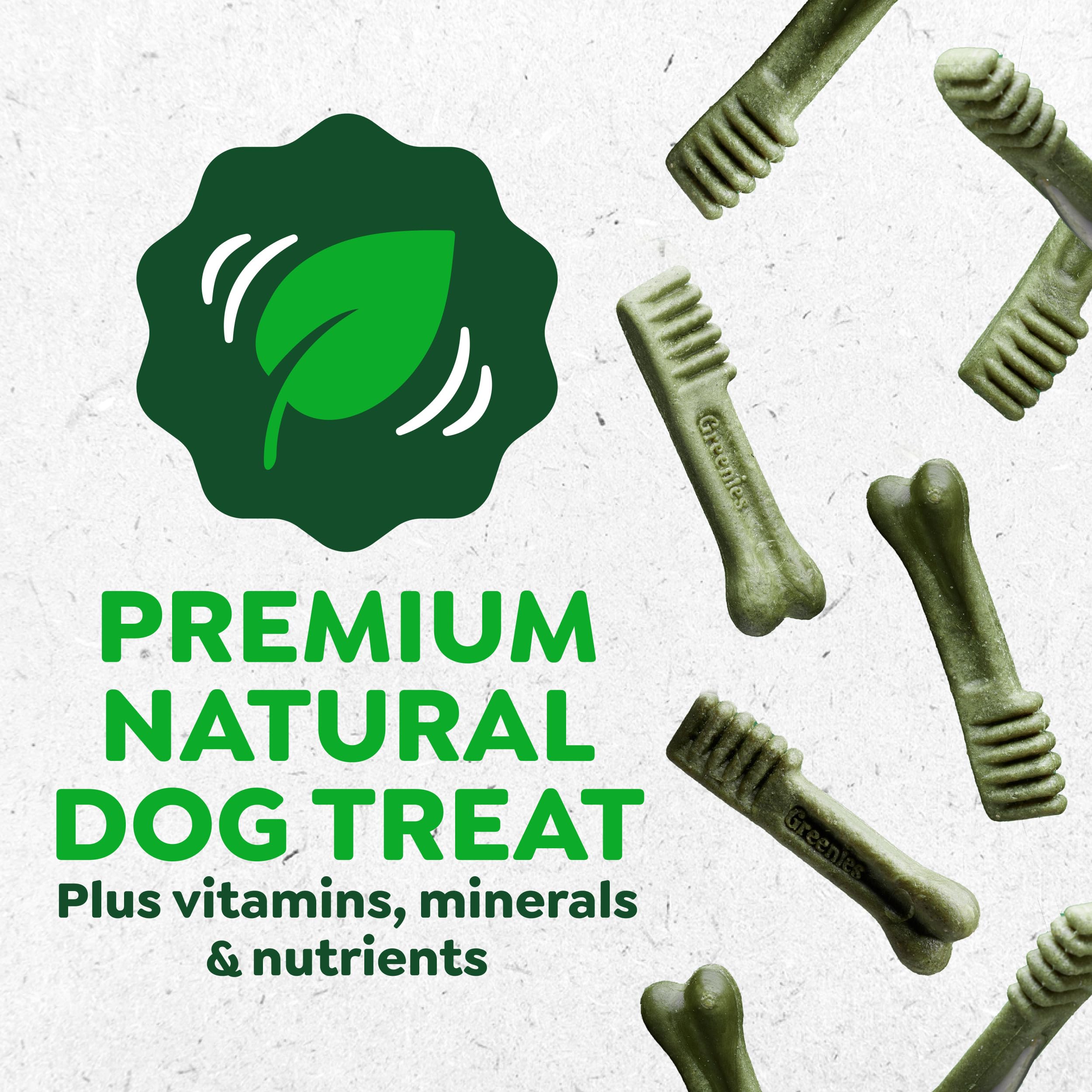 Perro masticando Greenies al aire libre que refuerza salud oral visible