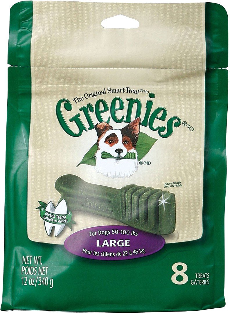 Greenies masticado por perro mostrando acción de limpieza y frescura de aliento