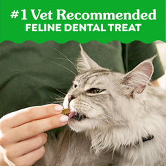 Pile of Greenies treats displaying shape and size for effective plaque removal