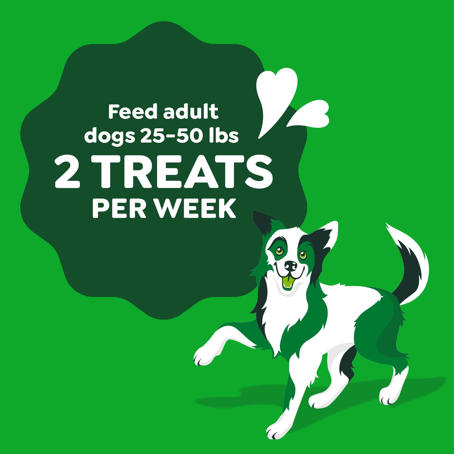 Comparación de tamaño Greenies Regular Breed junto a una regla útil