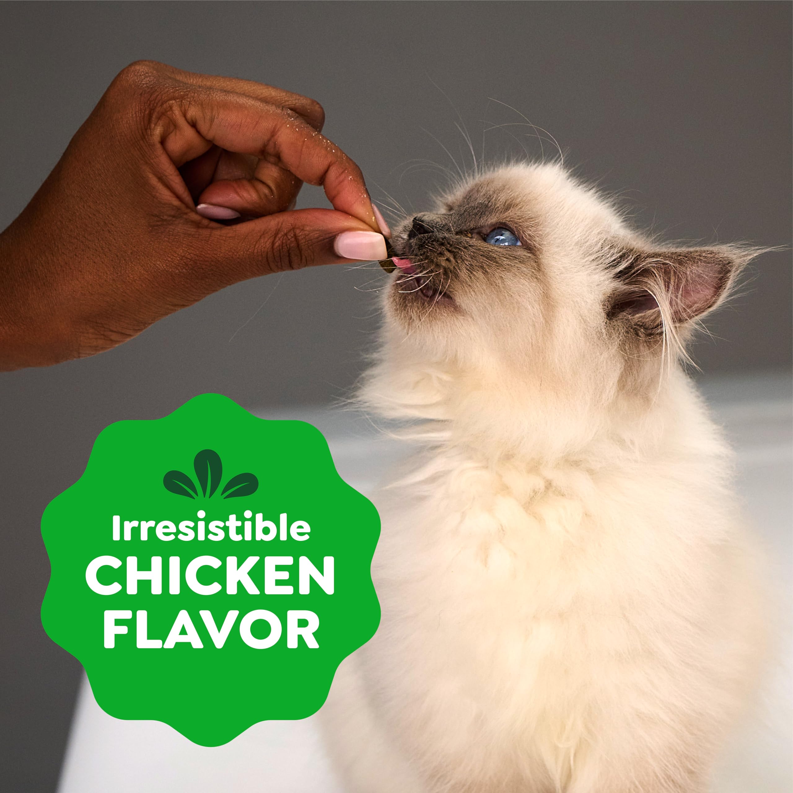Greenies uso en entrenamiento gatito reforzando conducta con snack saludable