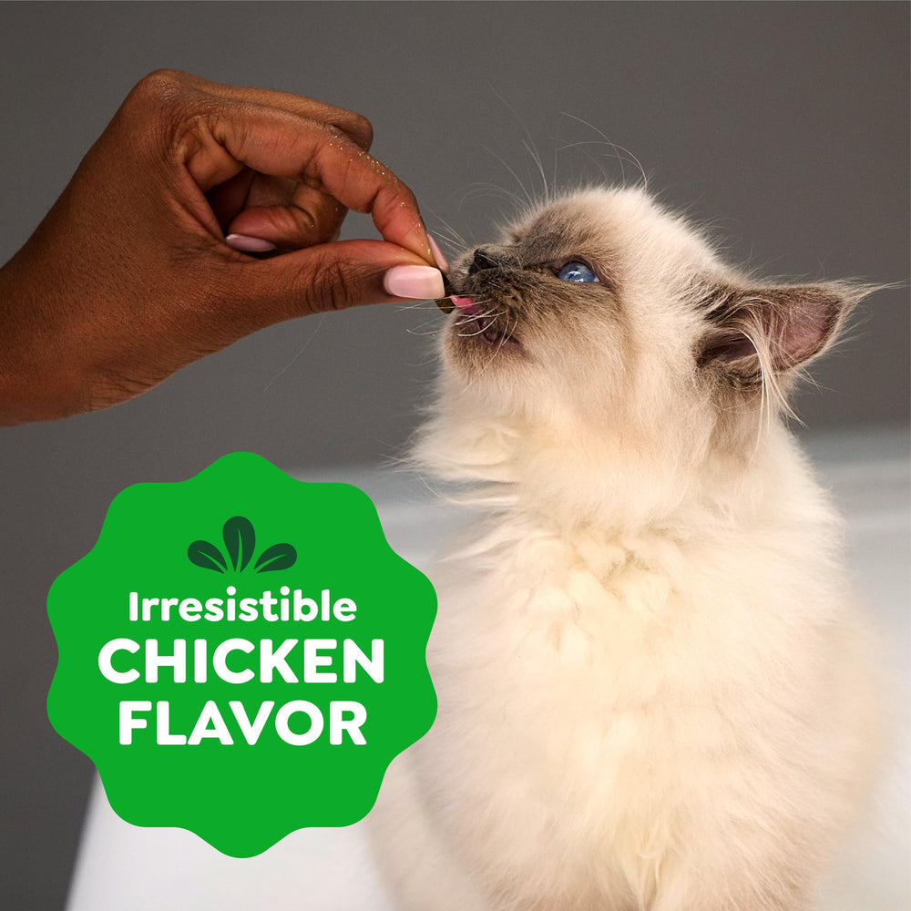 Greenies uso en entrenamiento gatito reforzando conducta con snack saludable