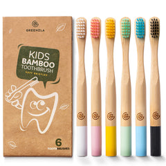 GREENZLA paquete frontal seis cepillos ecológicos para casa