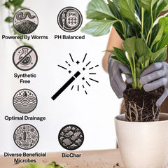 Grow Queen corteza de abeto visible, mejora estructura y oxigenación radicular