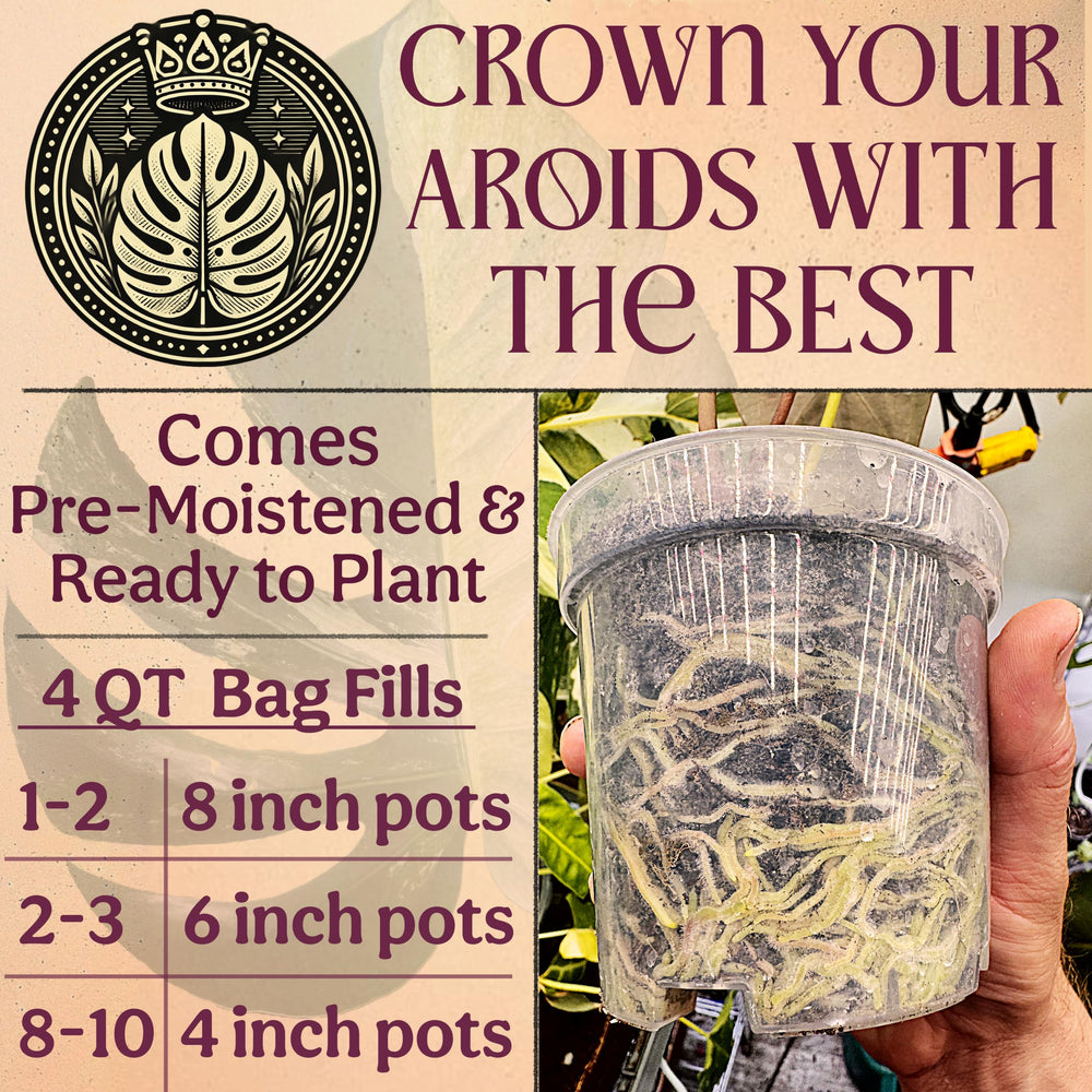 Grow Queen Douglas fir bark fines supporting long-lasting porosity and root health
