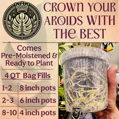 Grow Queen Douglas fir bark fines supporting long-lasting porosity and root health