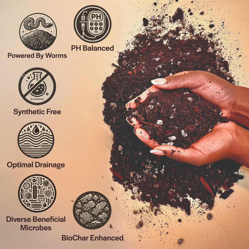 Grow Queen pumice and lava rock pieces improving aeration and water flow