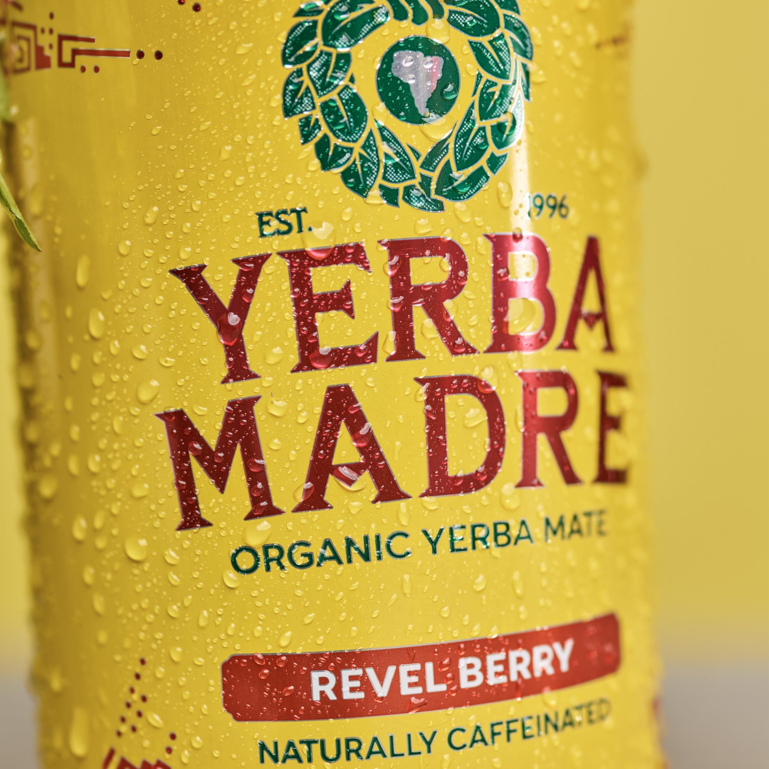 Guayaki lata en mano demostrando tamaño real y conveniencia portátil