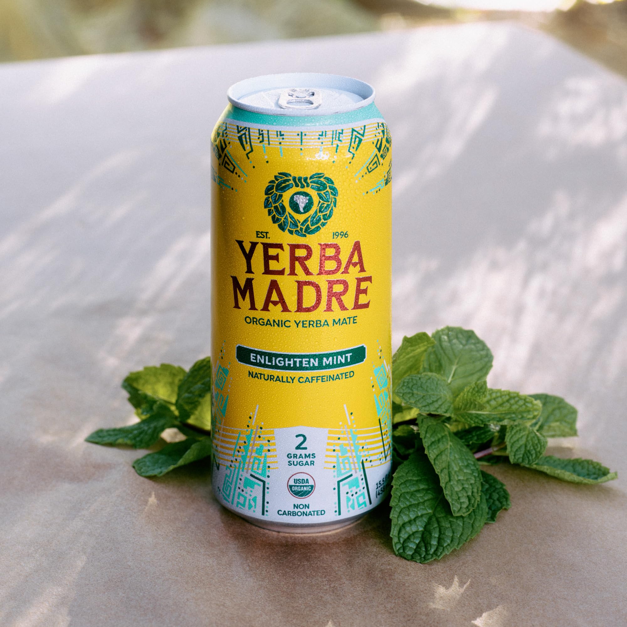 Guayaki lata en mano para comparar tamaño y facilidad de transporte