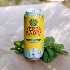 Guayaki lata en mano para comparar tamaño y facilidad de transporte