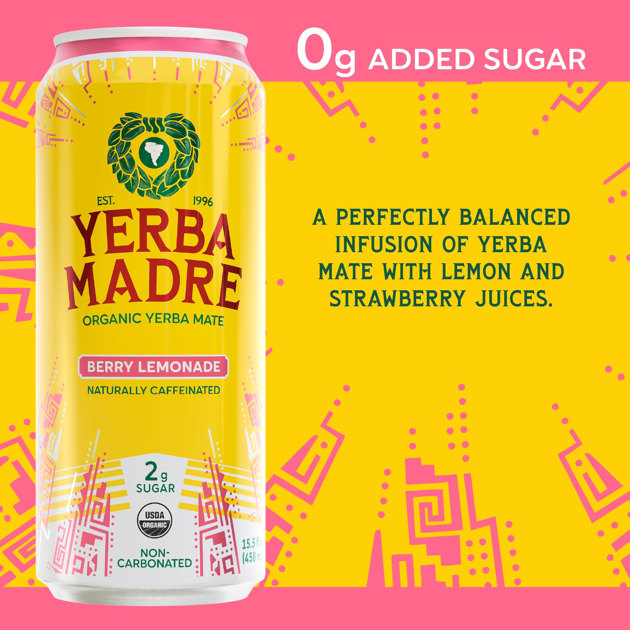 Guayaki Yerba Madre lata en mano para comparar tamaño y utilidad portátil