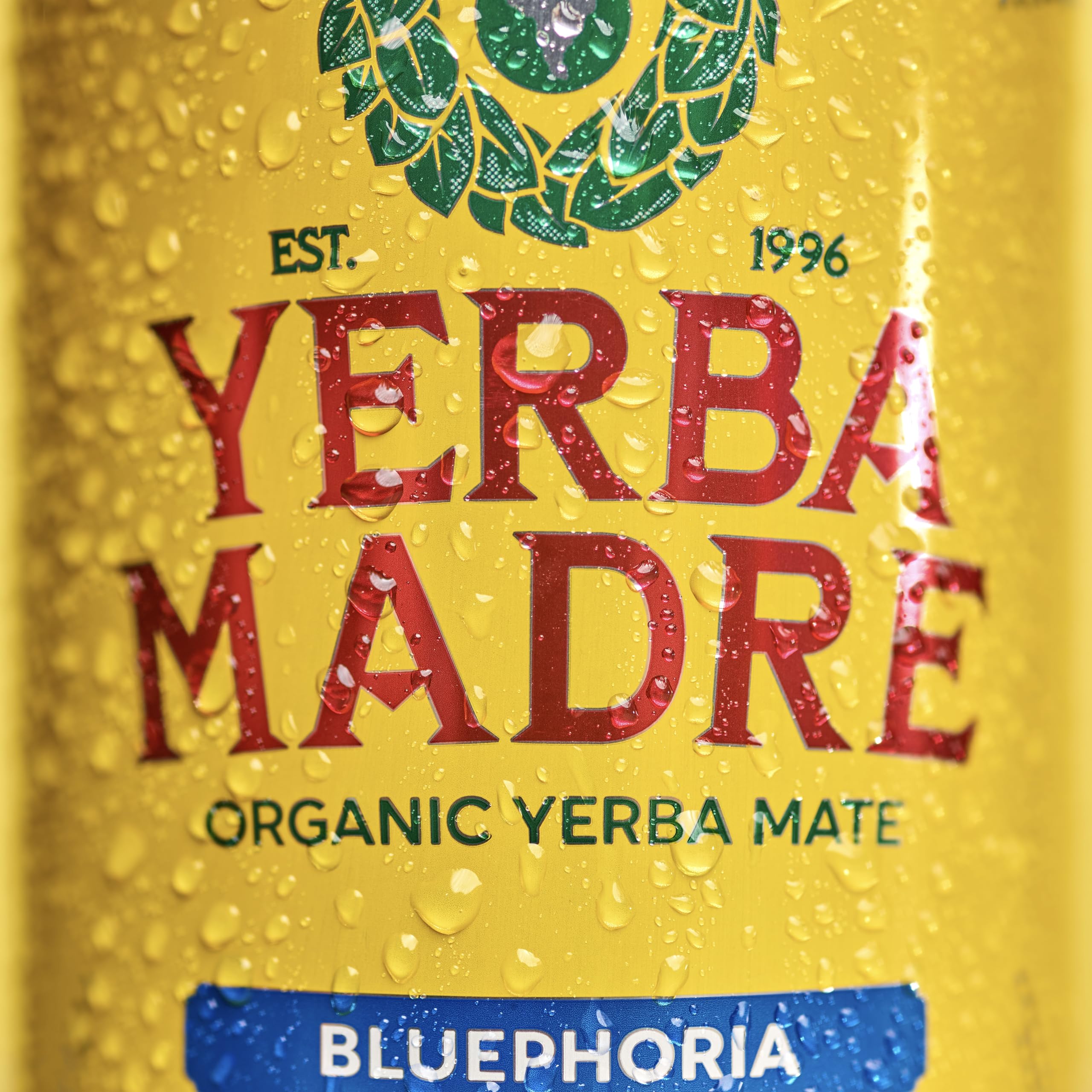 Guayaki Yerba Madre lata en mano, lista para beber y brindar energía