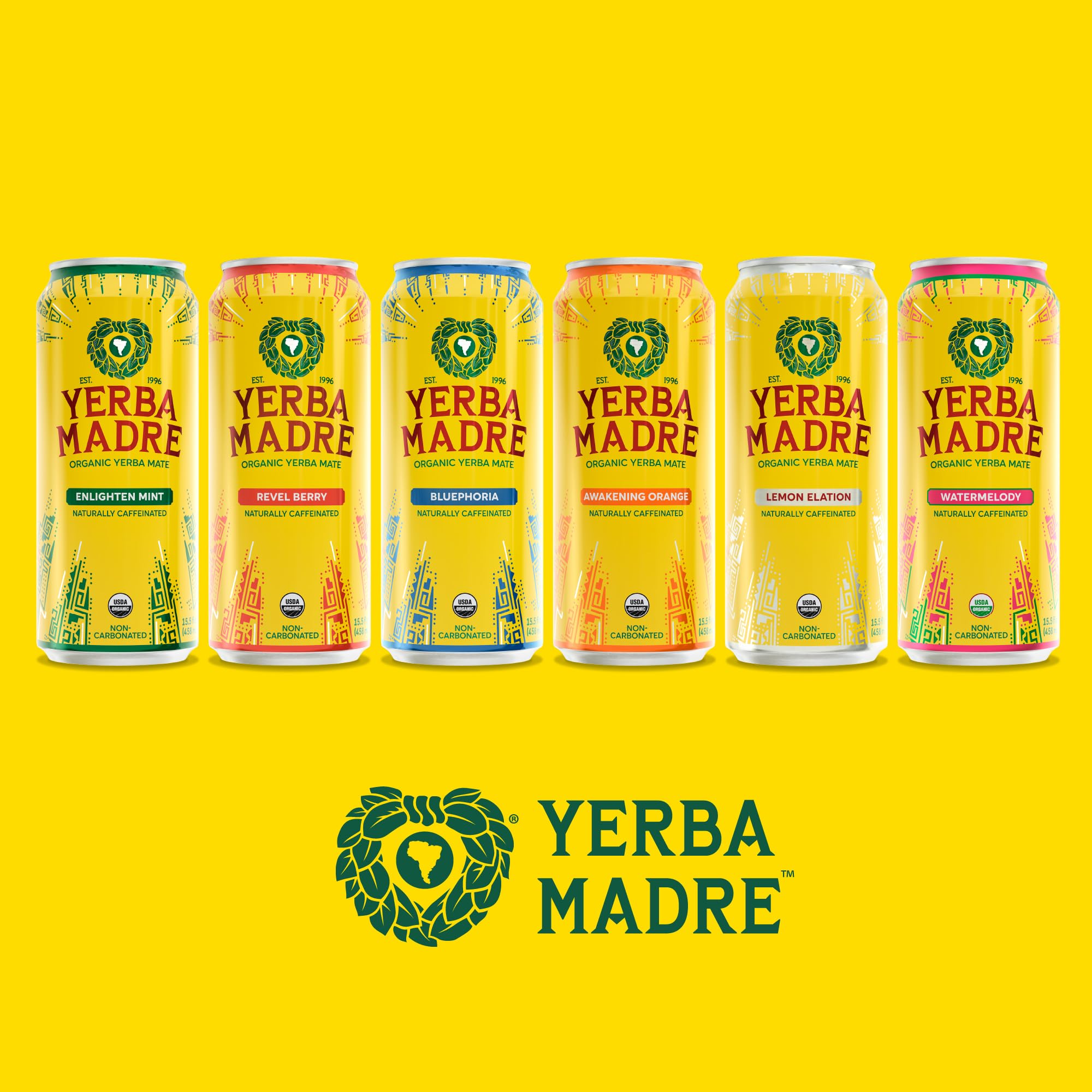 Escena al aire libre con Guayaki Yerba Madre en picnic para energía compartida