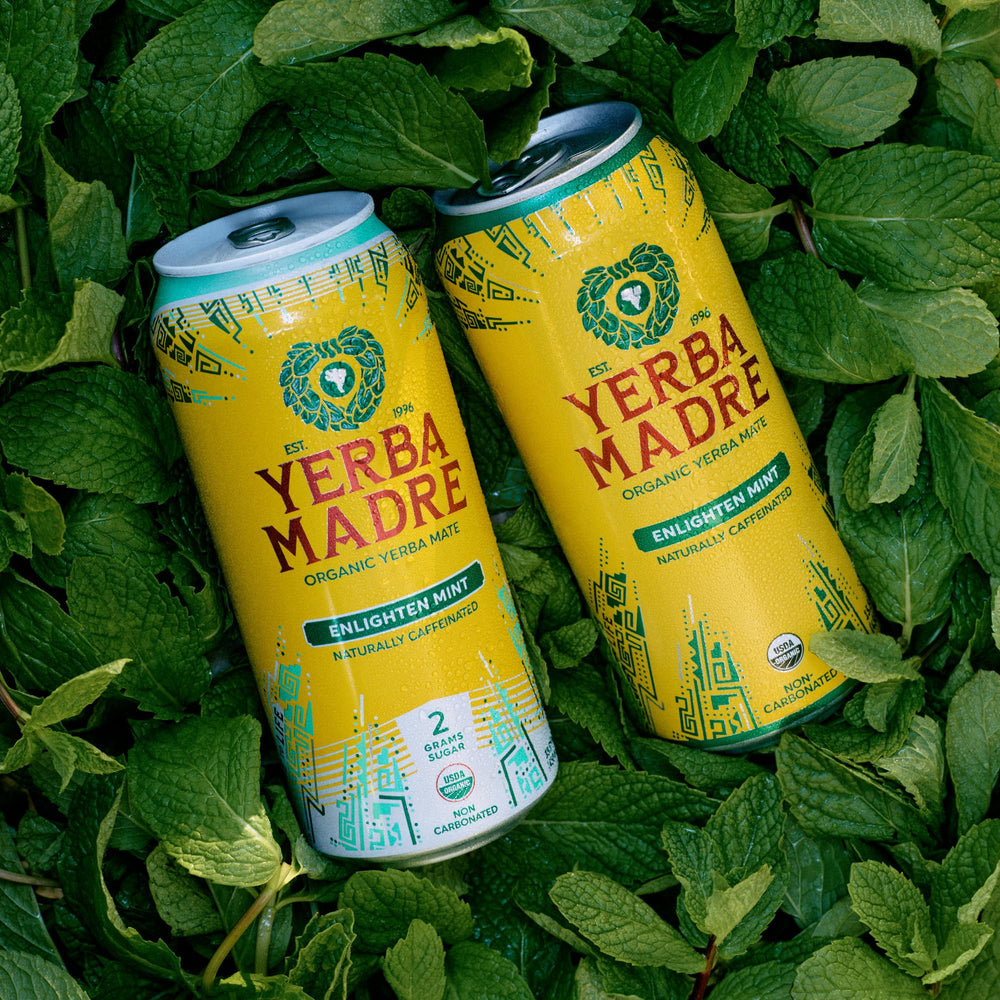 Guayaki pack de 12 latas que muestra cantidad para abastecimiento