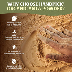 HANDPICK cucharada mostrando tamaño de porción práctico