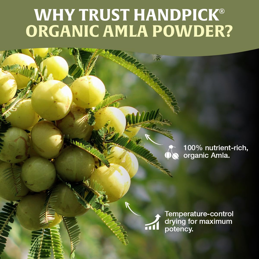 HANDPICK producto en cocina estilo vida, añade sabor a recetas caseras