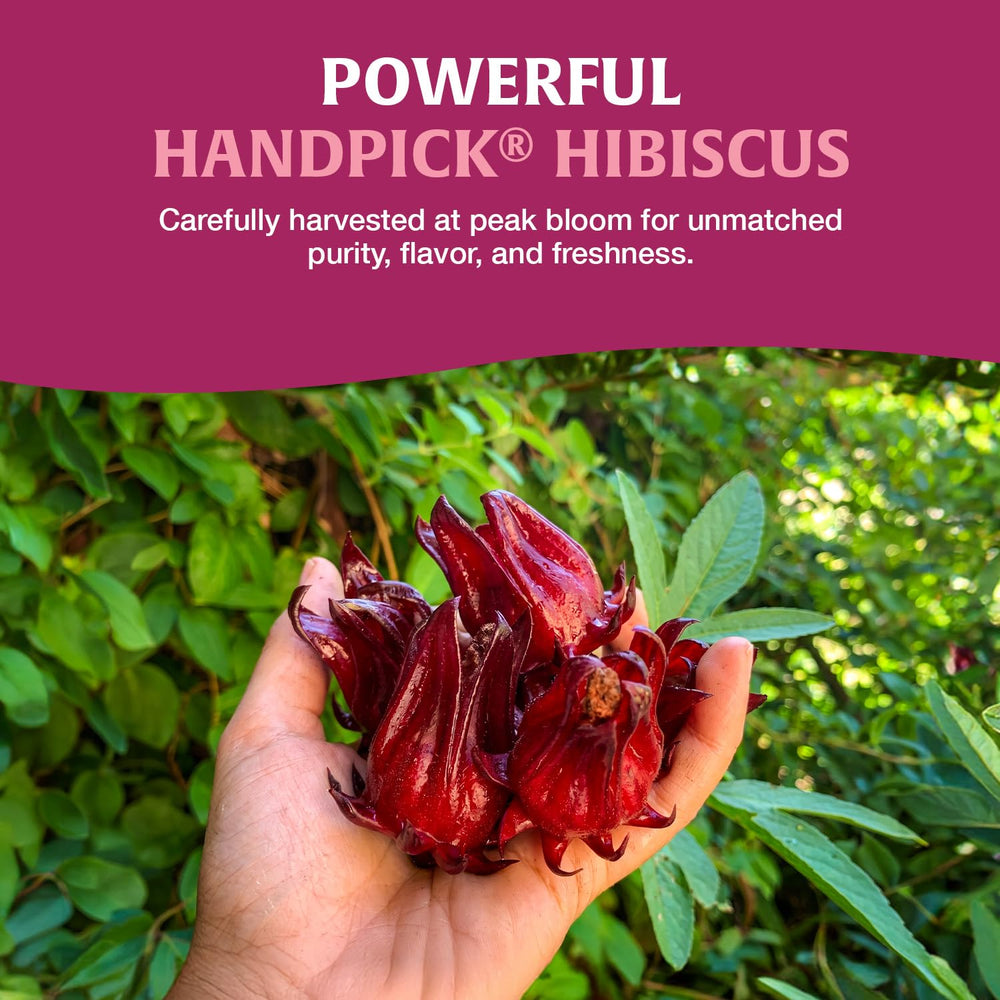 HANDPICK primer plano de una bolsita, textura sin pegamento y diseño eco‑consciente