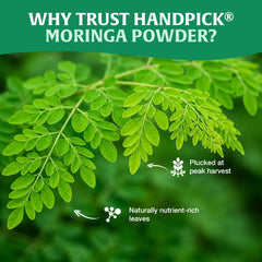 HANDPICK latte con moringa espumoso para bebidas caseras
