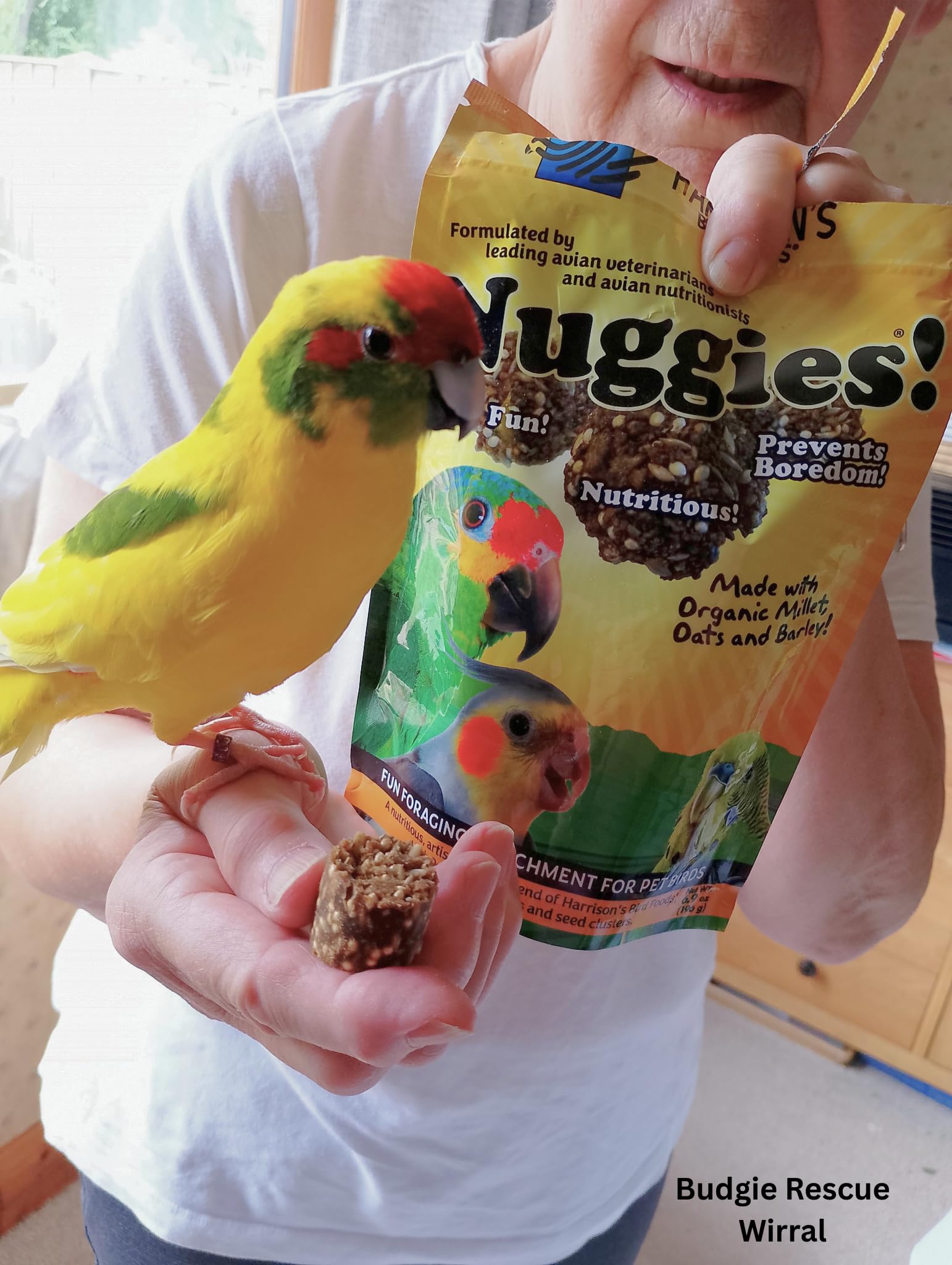 Harrison's Nuggies etiqueta nutricional mostrando información útil para propietarios