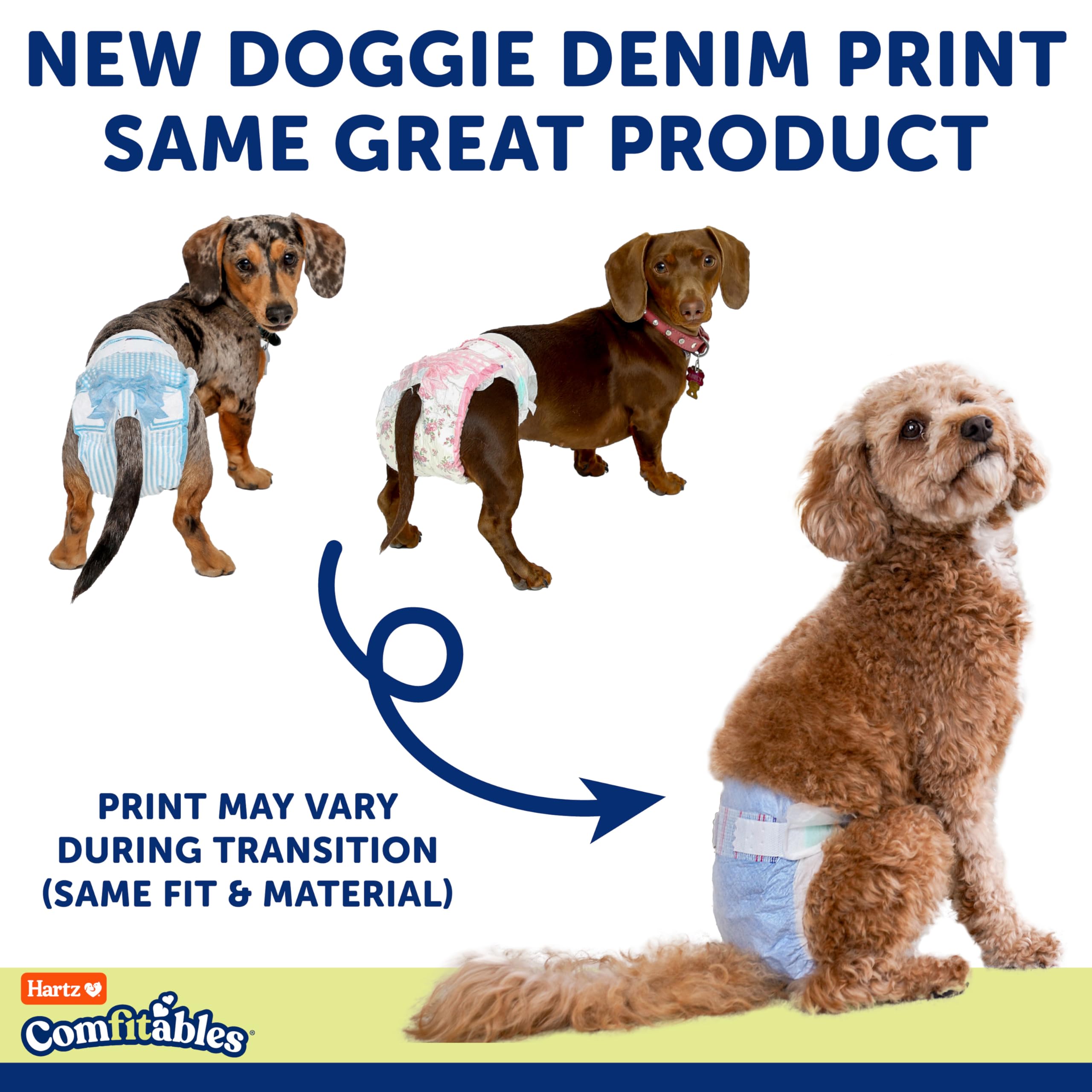Hartz diaper worn on small dog model highlighting comfort and containment