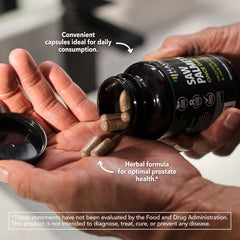 TEXTURA del extracto en polvo de saw palmetto de HAVASU NUTRITION, enfoque en pureza