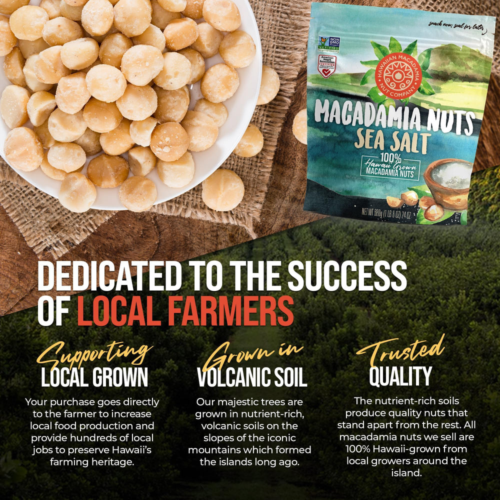 Hawaiian Macadamia Nut Company mano sosteniendo macadamias para escala