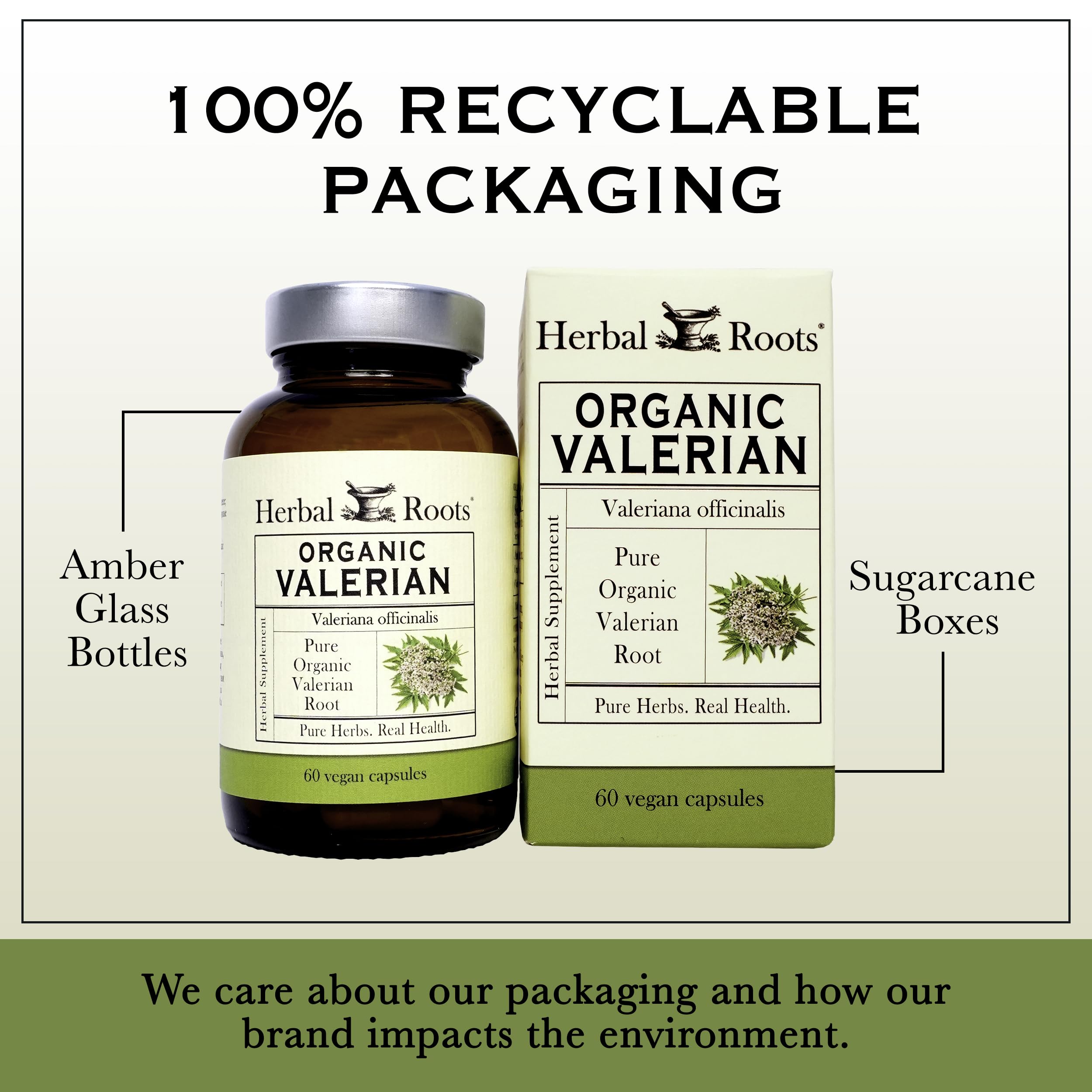 Herbal Roots botella junto a una mano para comparar tamaño y cantidad de cápsulas
