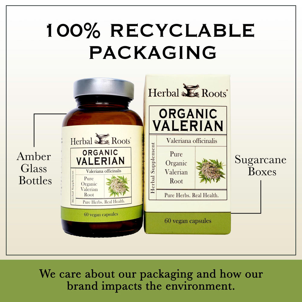 Herbal Roots botella junto a una mano para comparar tamaño y cantidad de cápsulas