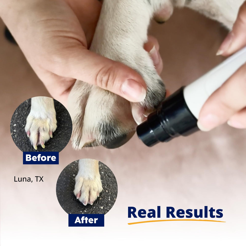 Heusom Silent Groom Pro junto a mano para comparar escala y portabilidad