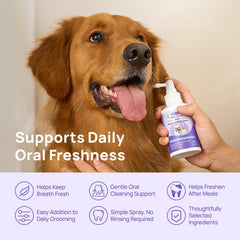 HICC PET spray en uso sobre perro para limpieza oral rápida fuera de casa