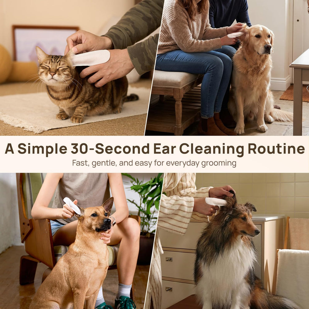 HICC PET toallita limpiando oreja de gato con movimiento delicado