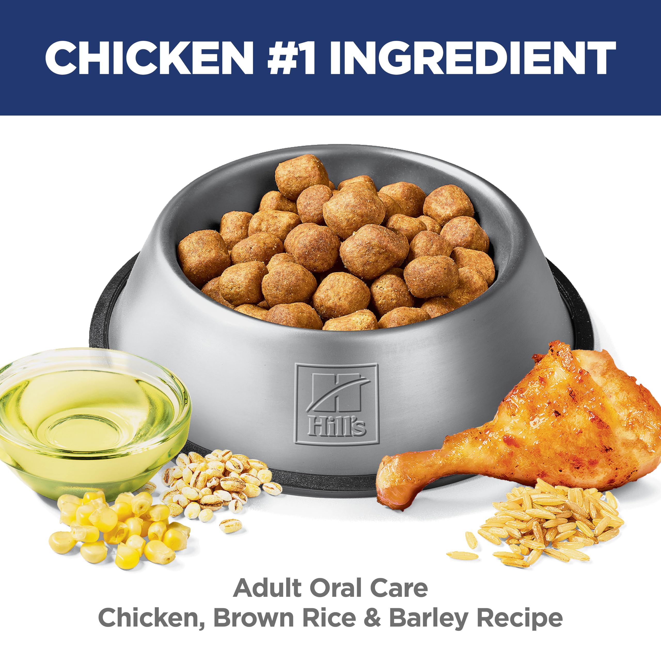 Hill's Science Diet croqueta en mano para apreciar tamaño y escala