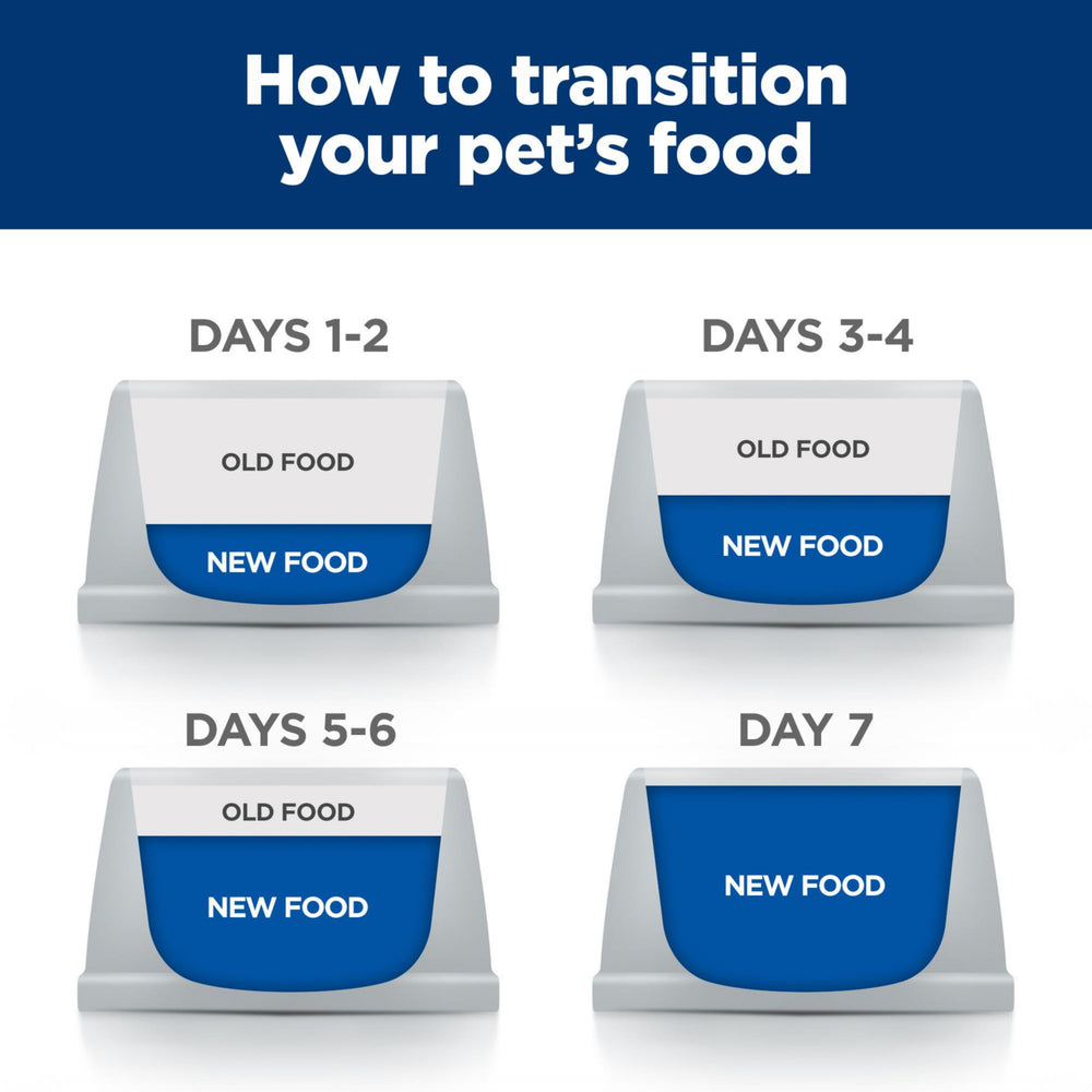 HILL'S PRESCRIPTION DIET ambiente hogareño con gato disfrutando de su comida