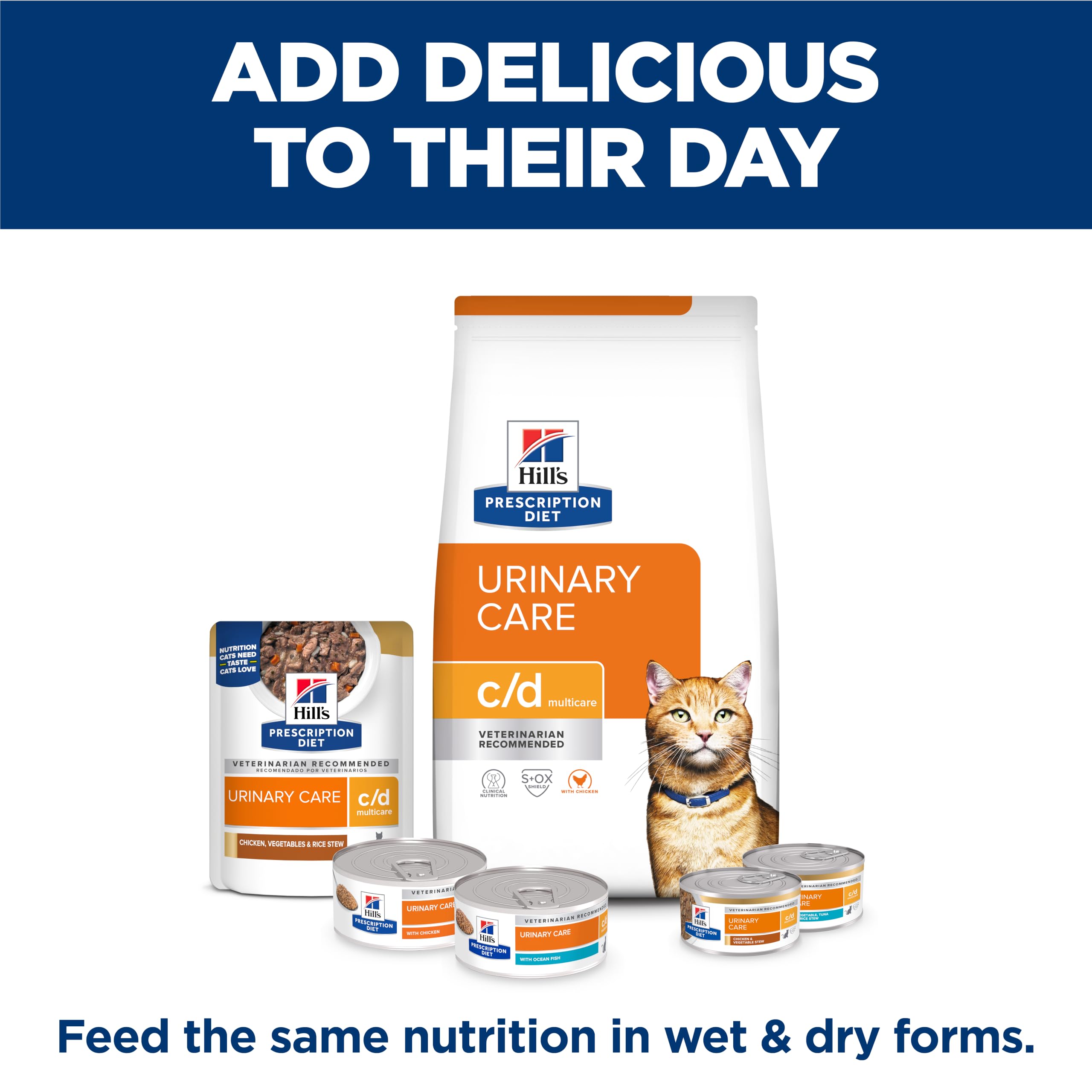 Hill's Prescription Diet caja profesional en clínica veterinaria, opción recomendada por especialistas
