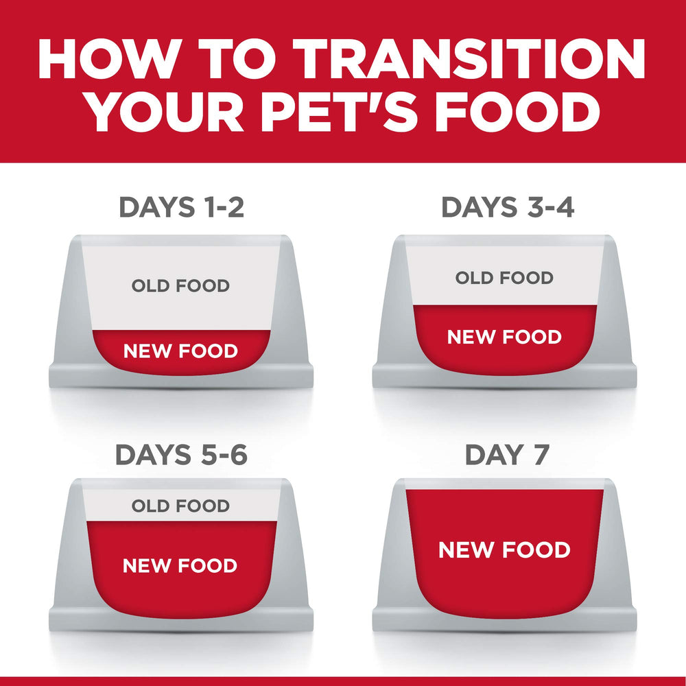 Hill's Science Diet being fed to a senior cat showing acceptance and hydration benefit