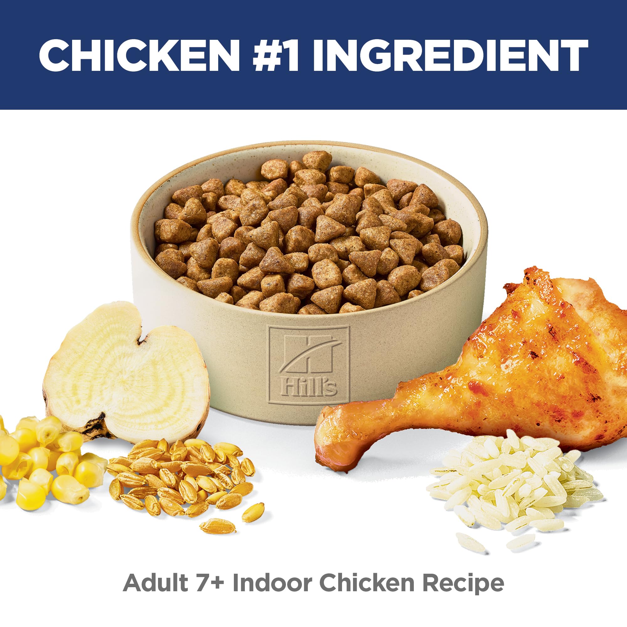 Hill's Science Diet close-up of kibble texture highlighting digestibility