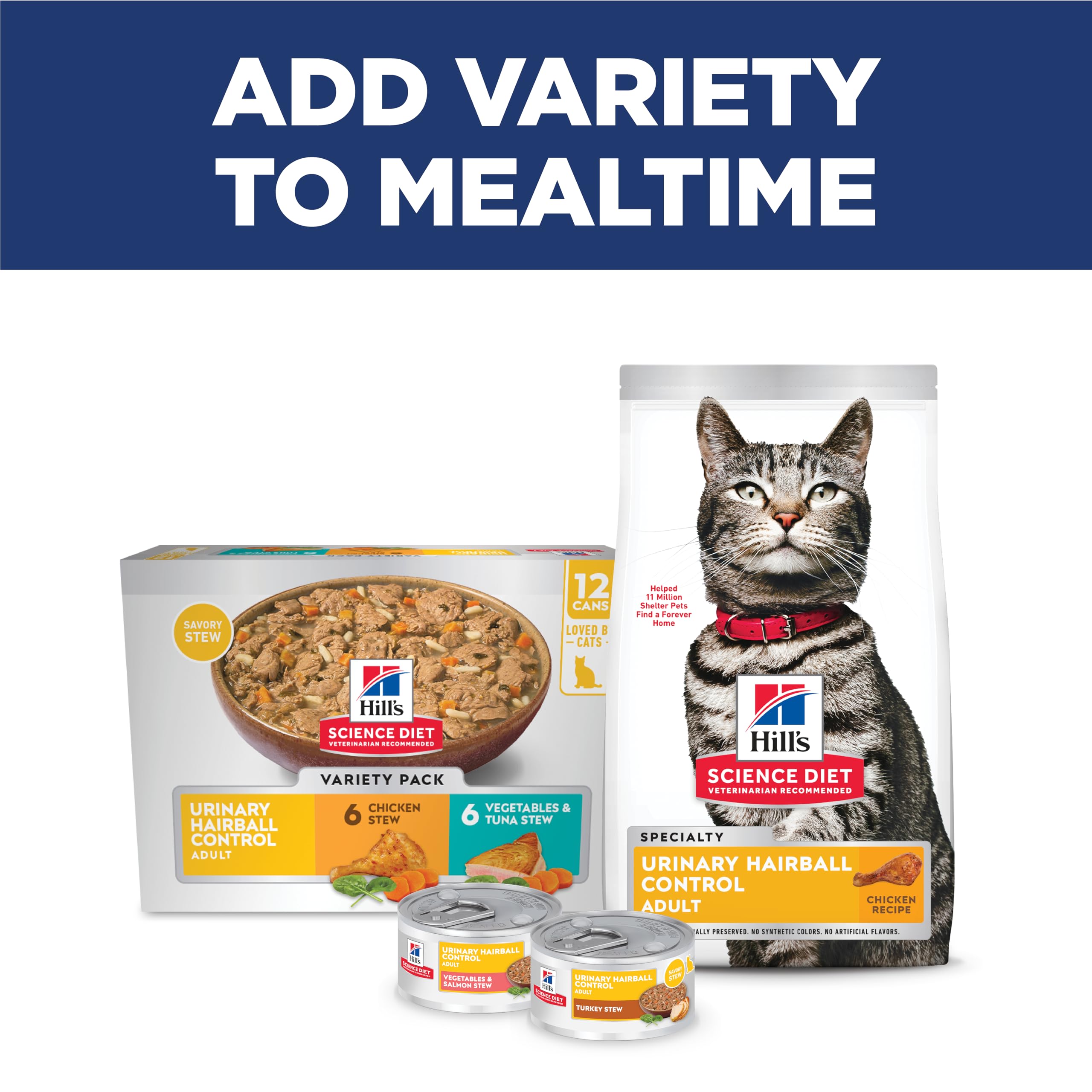 Hill's Science Diet entorno doméstico mostrando bienestar del gato